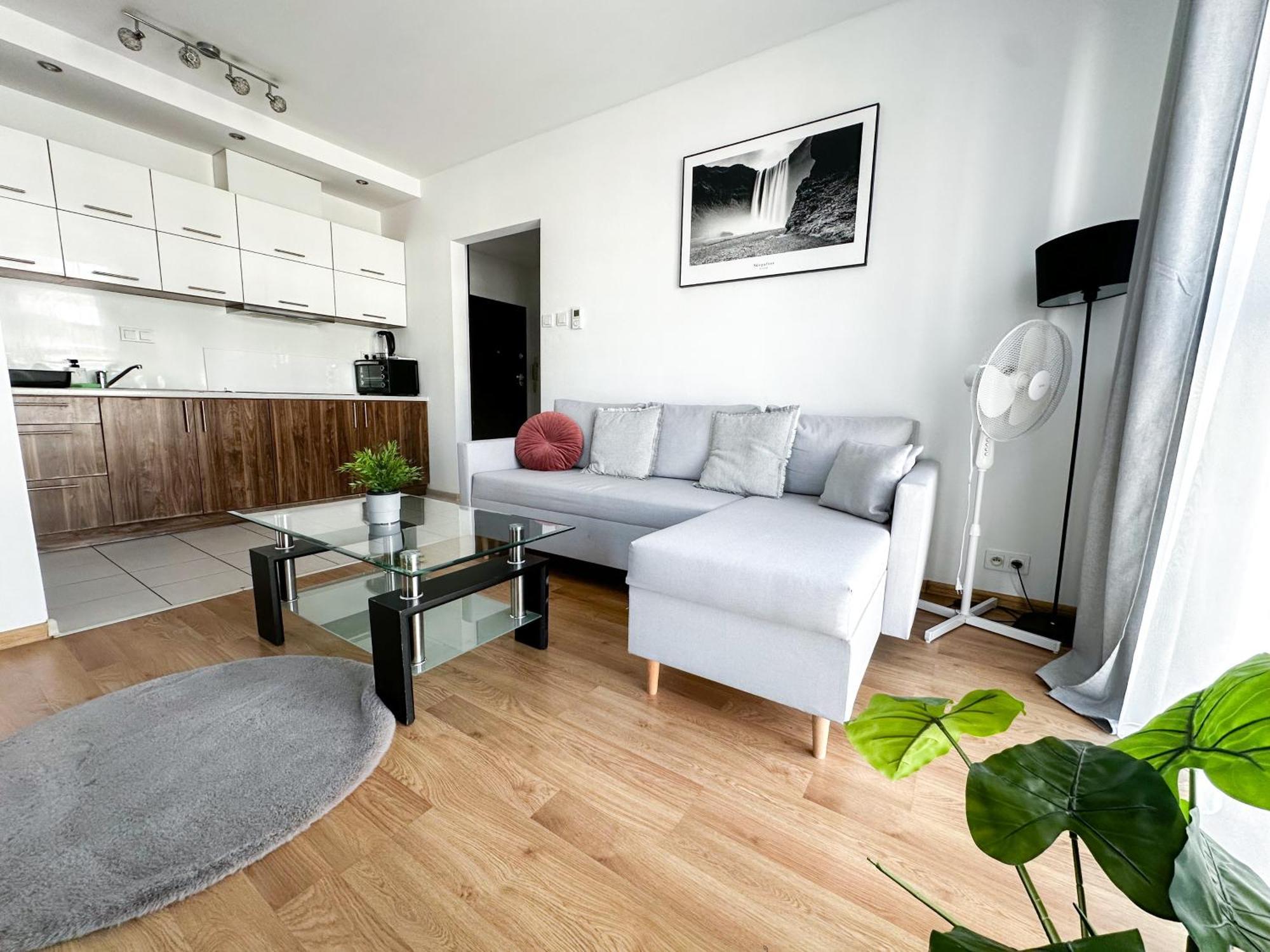 Apartment Inside Warsaw